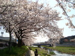 DSC00077.JPG